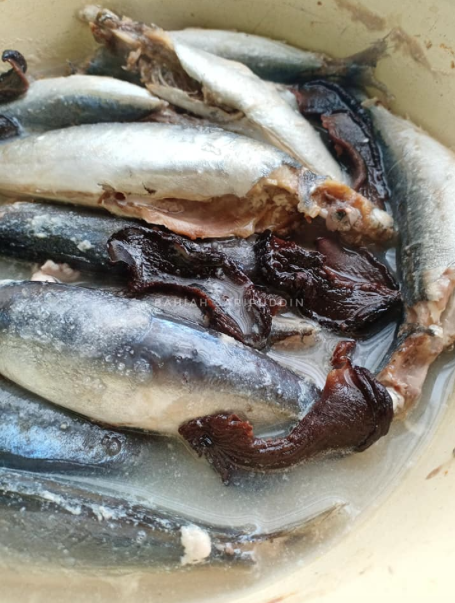 Resepi Ikan Rebus 'Original' Yang Paling Simple