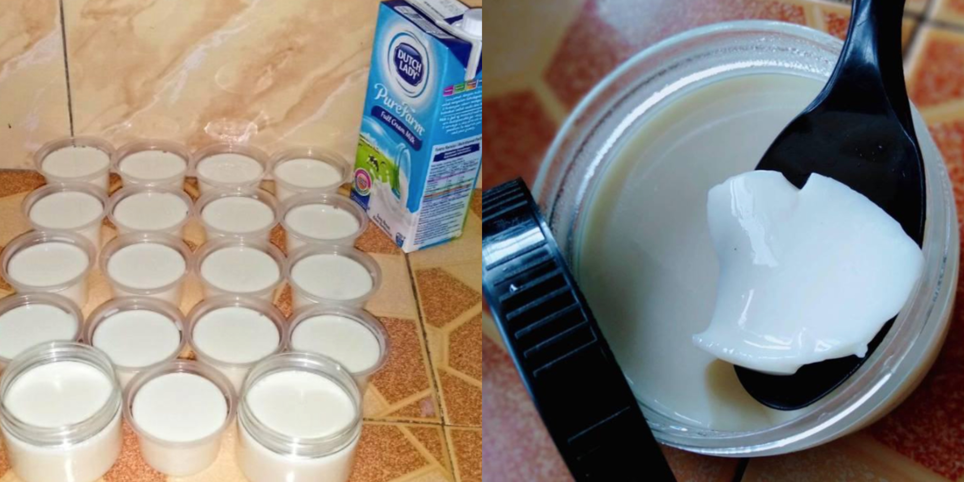 Sekotak Susu Dapat 15 Cup Wanita Ini Kongsi Resepi Dadih