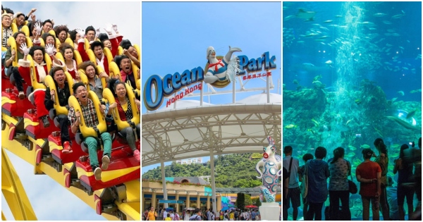 Panda Comel & Akuarium 3 Tingkat – Ocean Park HK Lebih Dari Sekadar Taman Tema Hiburan!