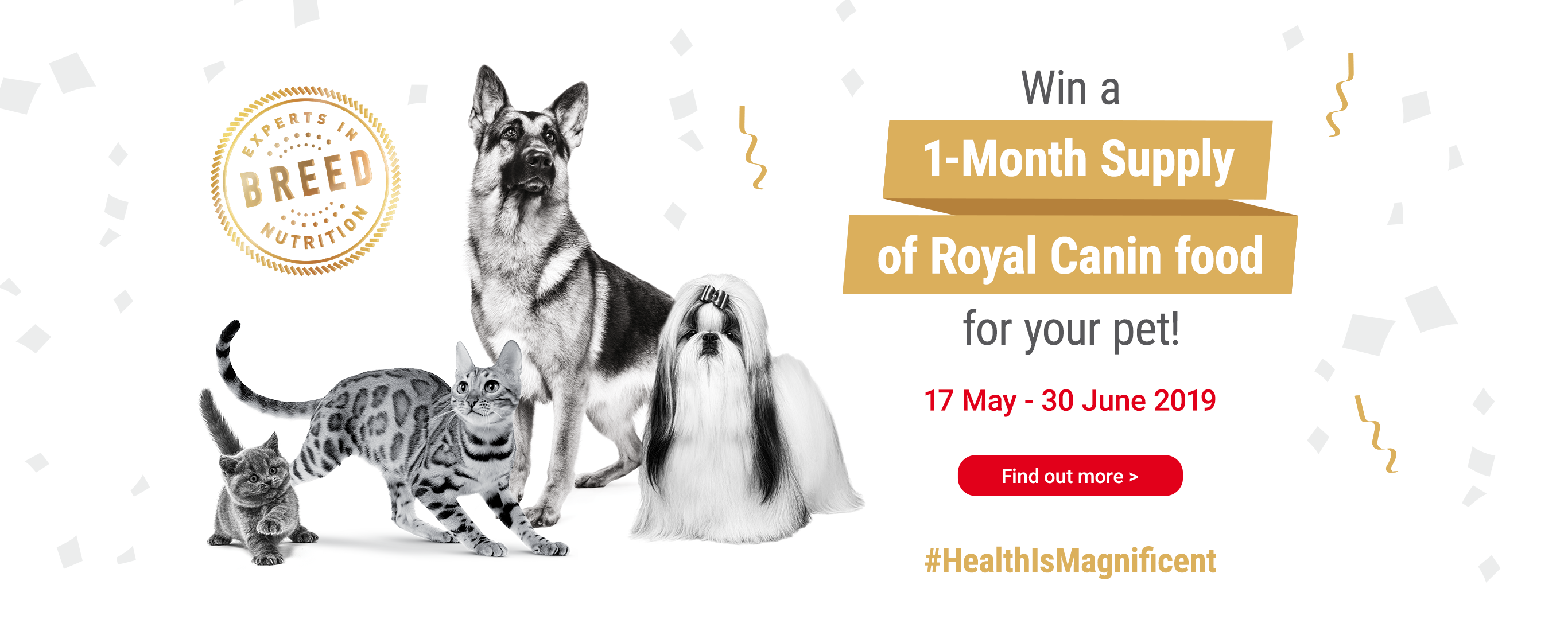 Banyak Rupanya Baka Kucing Nasib Baik Royal Canin Perkenalkan