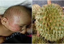 ‘Durian Itu Jatuh Kena Isteri Dulu, Melantun Ke Kepala Anak’ – Durian Jatuh Timpa Bayi 4 Bulan